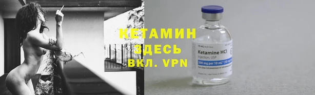 трава Новодвинск