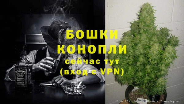 трава Новодвинск