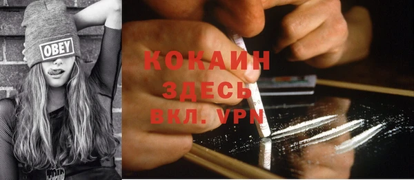 трава Новодвинск