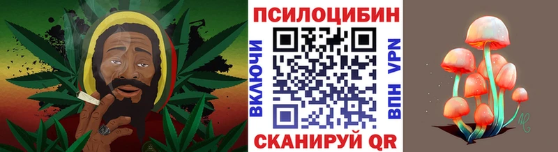 Галлюциногенные грибы GOLDEN TEACHER  купить наркотик  Стерлитамак 