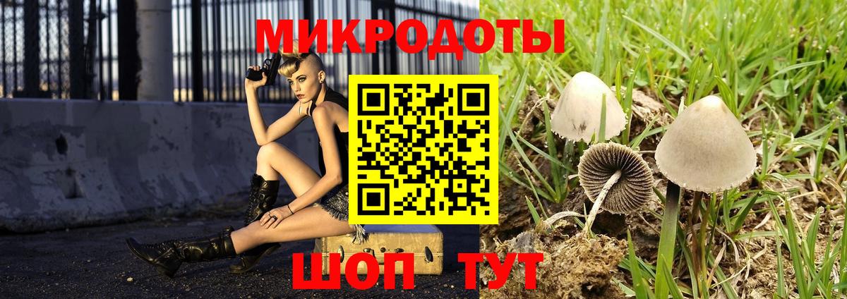 Галлюциногенные грибы ЛСД Стерлитамак