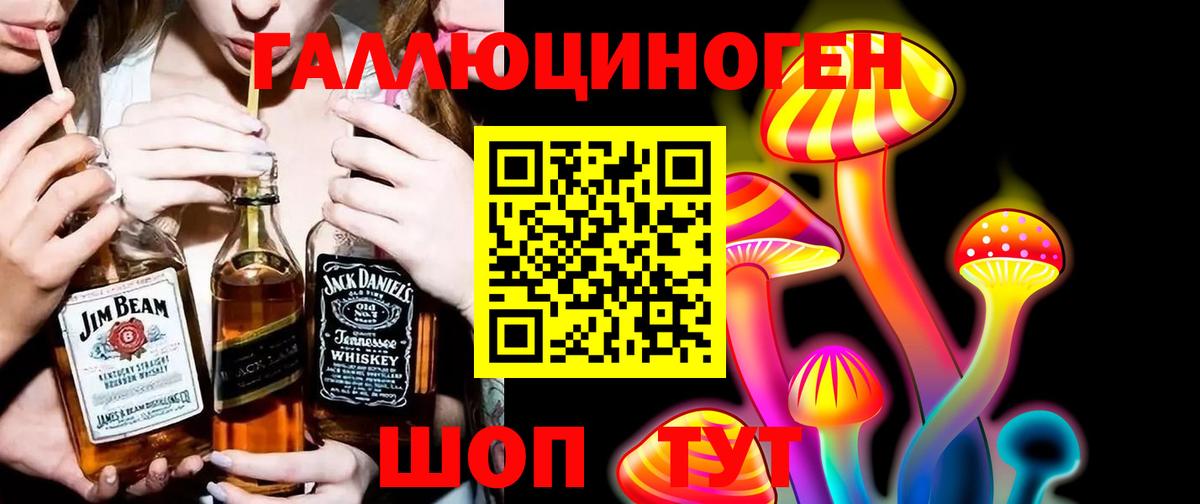 Псилоцибиновые грибы мицелий  даркнет сайт  Стерлитамак  Вход с VPN 