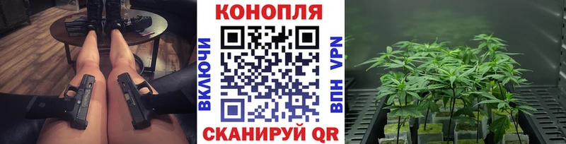 закладка  Стерлитамак  Бошки Шишки семена 